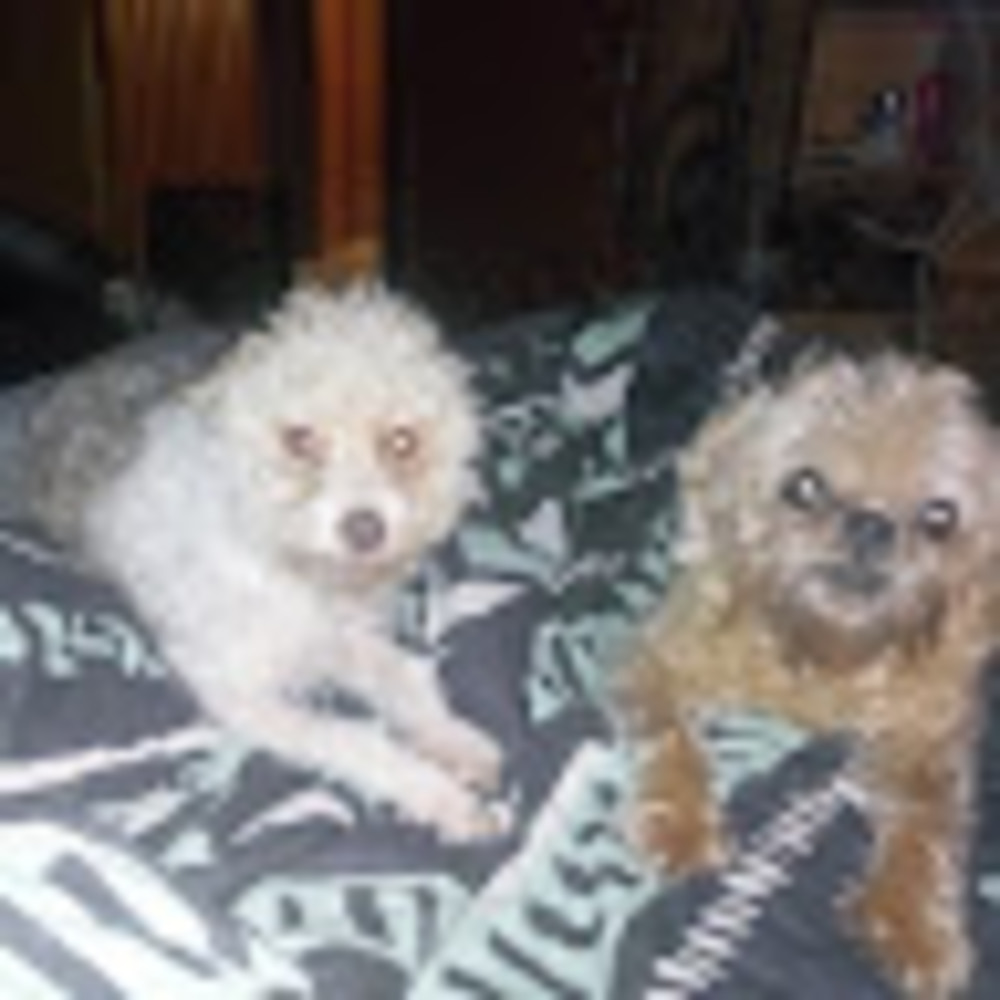 Meet your Posher, Denice